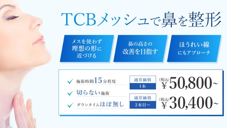 TCBメッシュ