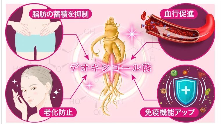 TCB脂肪溶解注射VFDI人参注射の効果