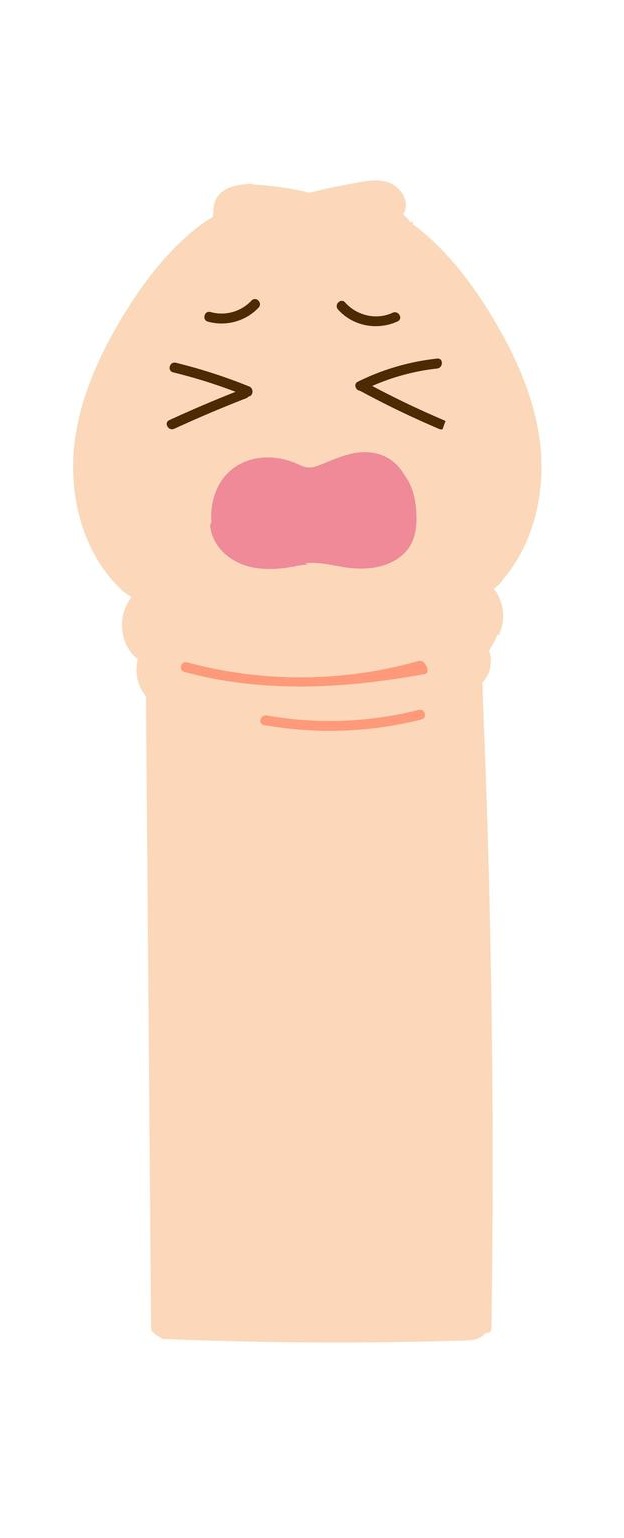 真性包茎のイメージ画像