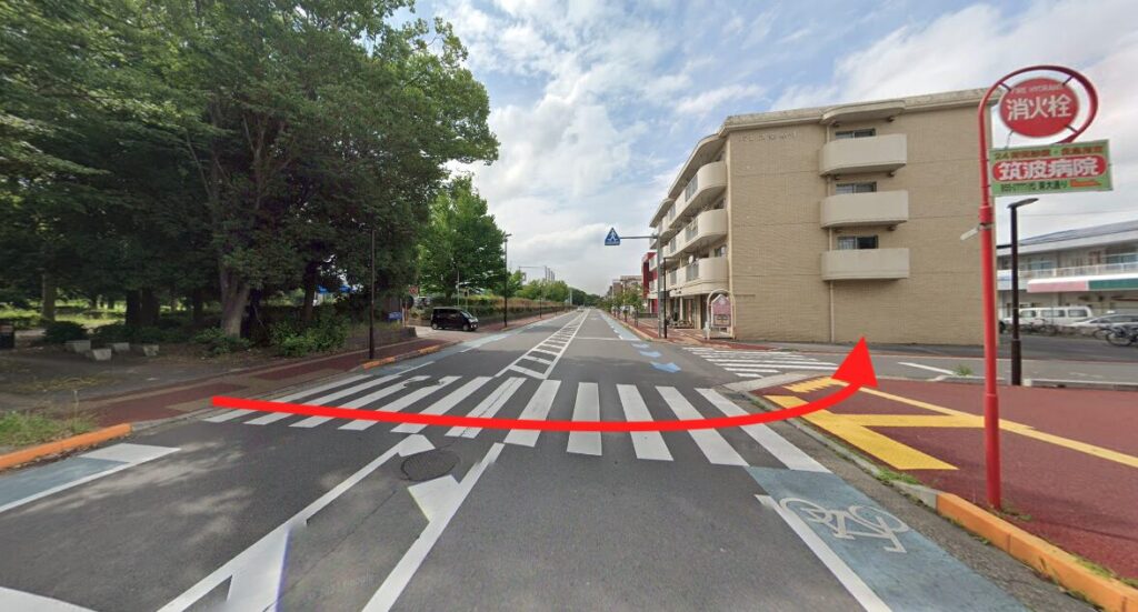 つくばエキスポセンター横断歩道